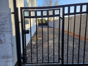 copy-of-20241220_161958