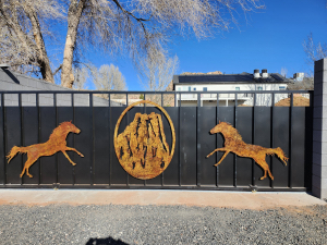 copy-of-20241227_112342