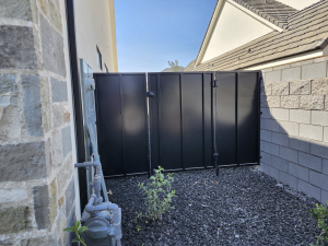 copy-of-20250815_105534