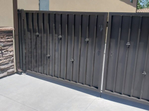 copy-of-img_20241104_081739