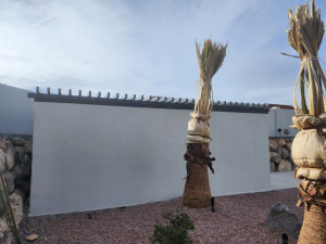 copy-of-20250304_161857-medium