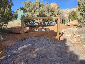 copy-of-20250201_140632-medium