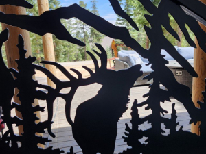 copy-of-20250804_133443-medium