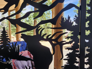 copy-of-20250804_133447-medium