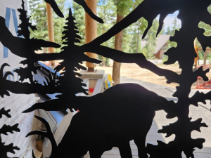 copy-of-20250804_133607-medium