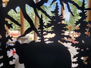 copy-of-20250804_133610-medium