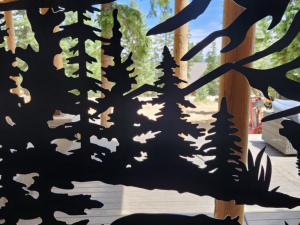 copy-of-20250804_133614-medium