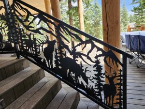 copy-of-20250804_134152-medium