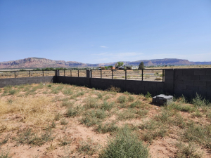 copy-of-20250715_105851-medium