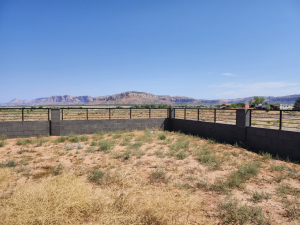 copy-of-20250715_105904-medium