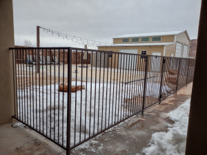 copy-of-img_20230304_112450034_hdr-medium