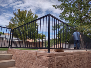 copy-of-img_20230810_150505563_hdr-medium