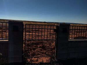 copy-of-img_20231019_164529098_hdr